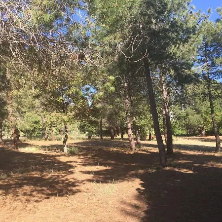 מלון דירות Residenza Gherly