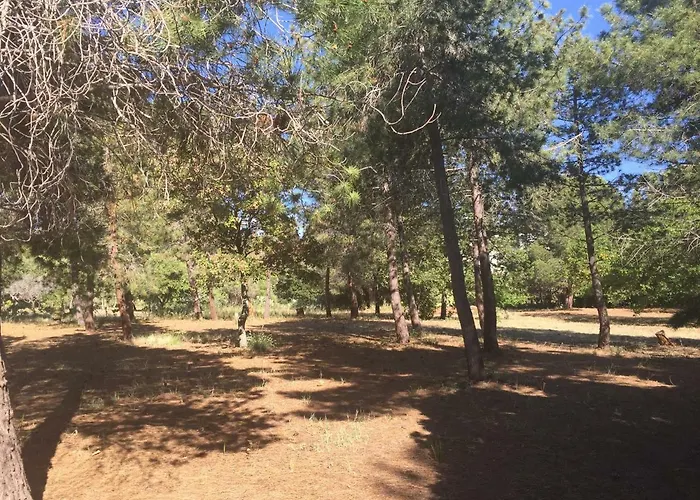 Lägenhetshotell Residenza Gherly