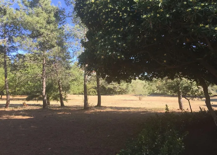 Residenza Gherly Lägenhetshotell 3*